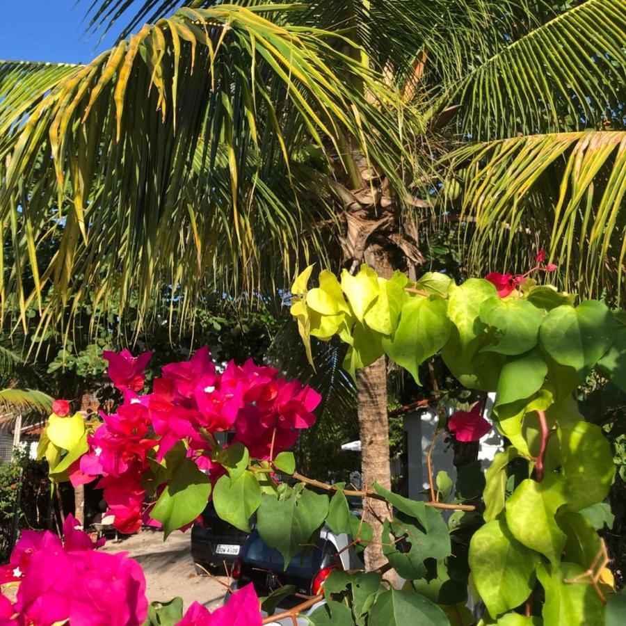 Garden - Centro De Porto de Galinhas